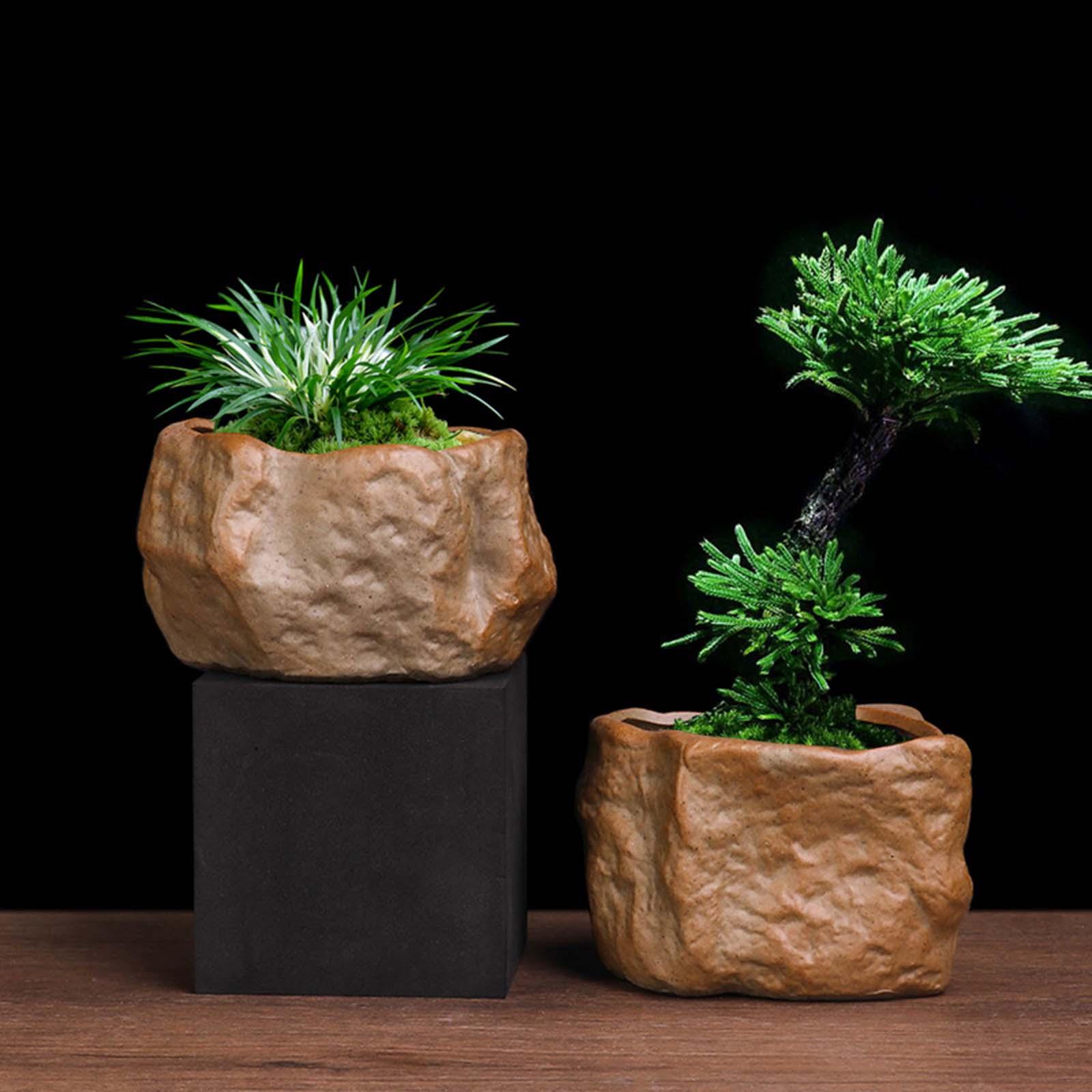Training Pot Ceramic - Keramische succulentenpot, lichtgewicht plantenbak met drainagegat,