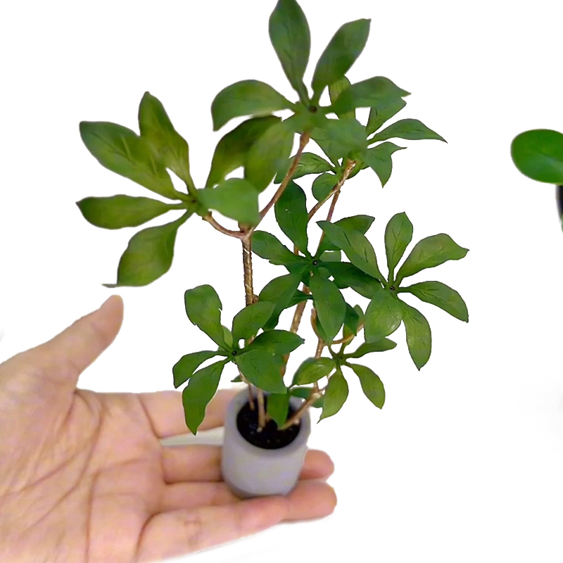 1:6 Poppenhuis Miniatuur Potpl - Bonsai Garden House recensie en prijs
