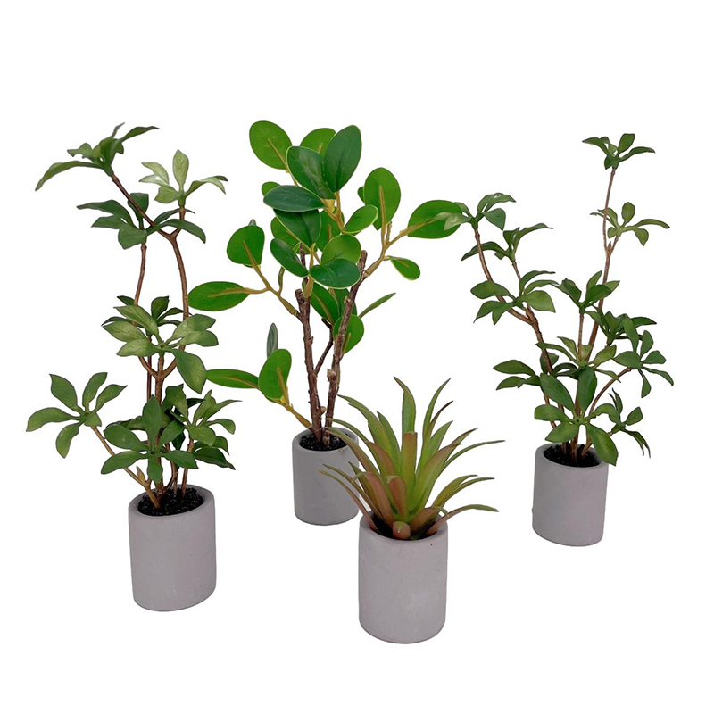 1:6 Dollhouse Miniatuur Potpla - Bonsai Garden House recensie en prijs