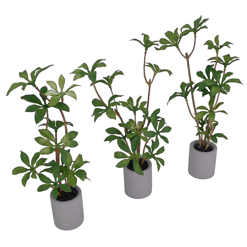 1:6 Dollhouse Miniatuur Potpla - Bonsai Garden House recensie en prijs