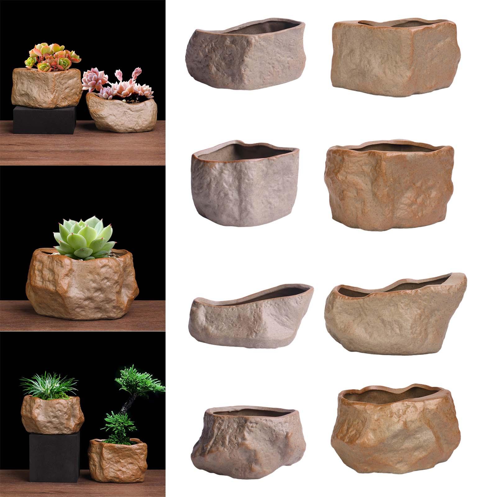 Keramische pot voor vetplanten - Training Pot Ceramic recensie en prijs