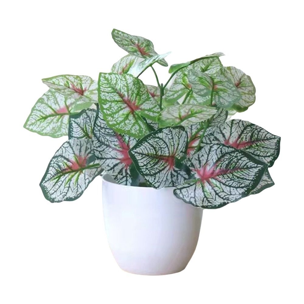 Miniatuur nep bloempotten bons - Bonsai Garden Table recensie en prijs