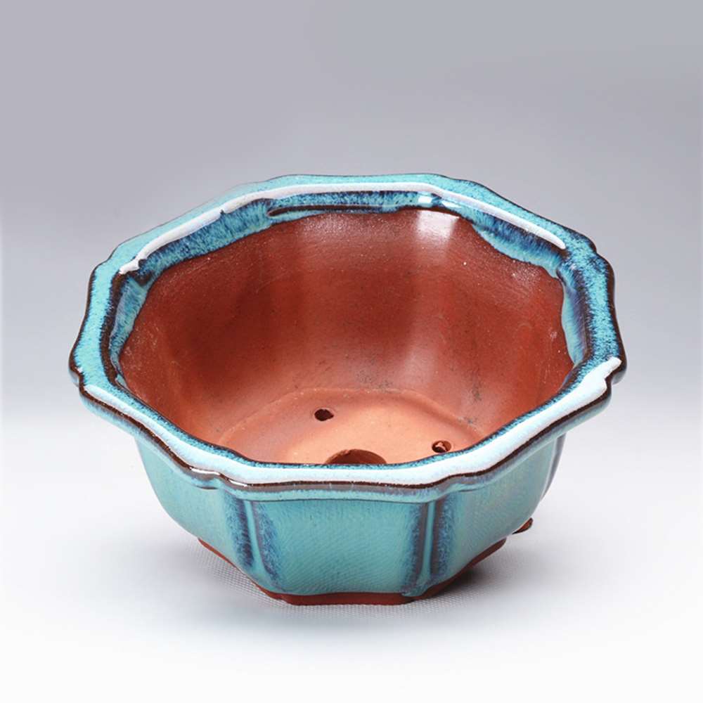 Chinese Stijl Bonsai Potten Ad - Training Pot Ceramic recensie en prijs